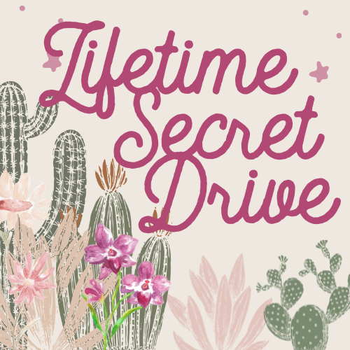 Secret Drive lifetime