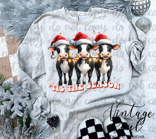 Tis the season Cows