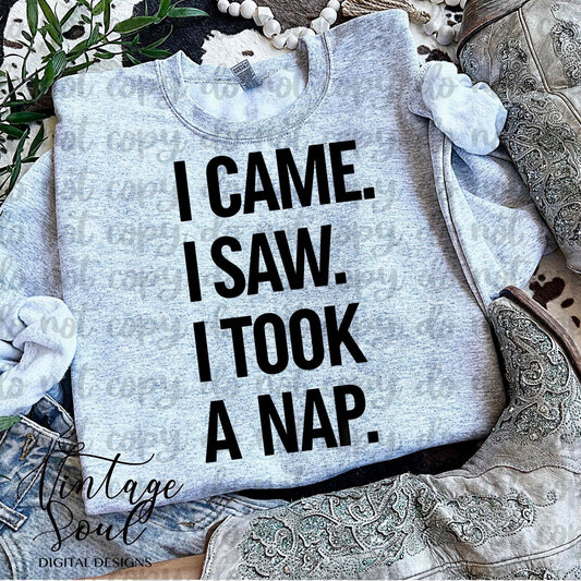 I came I saw I took a nap